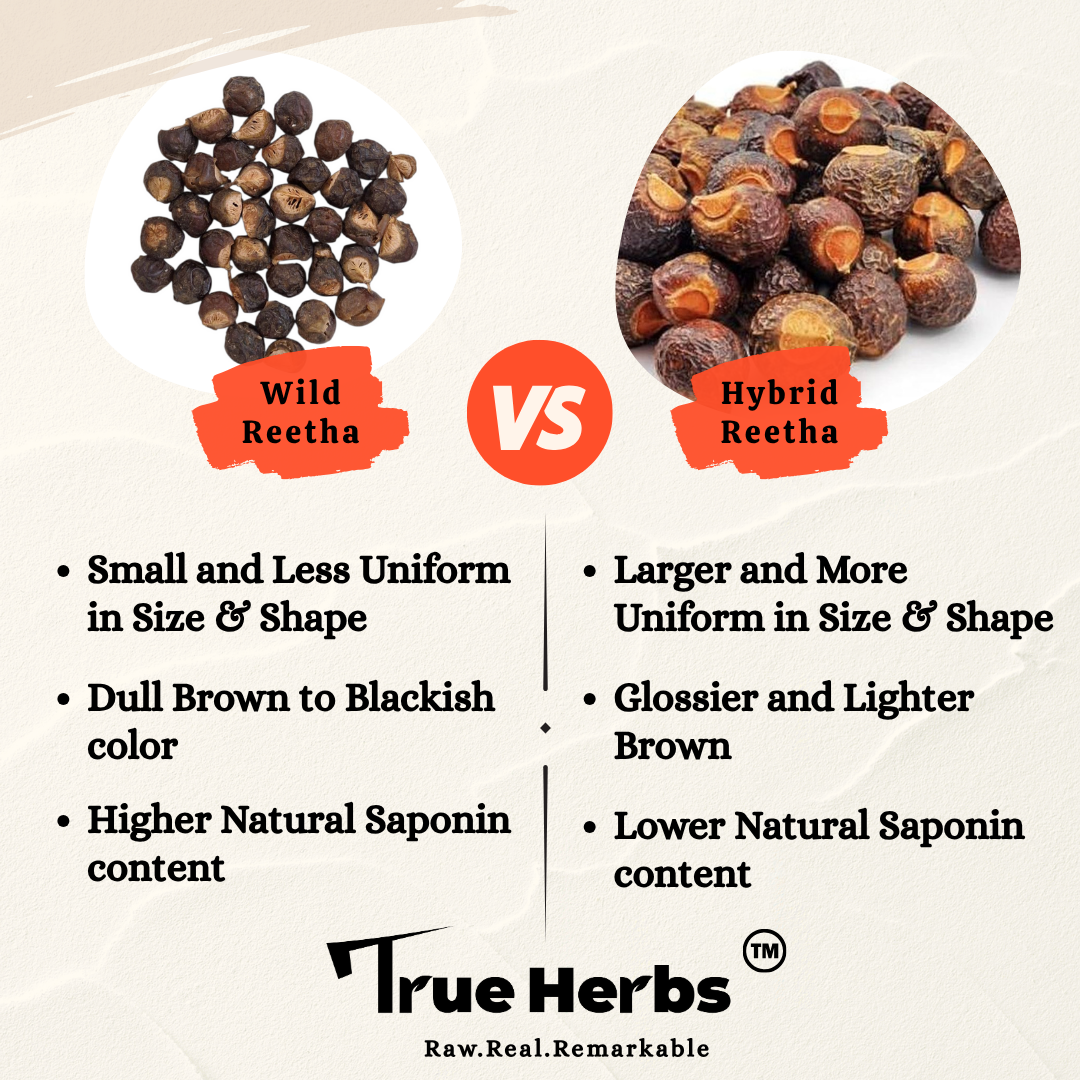 Non-Hybrid (Wild) Soap Nuts