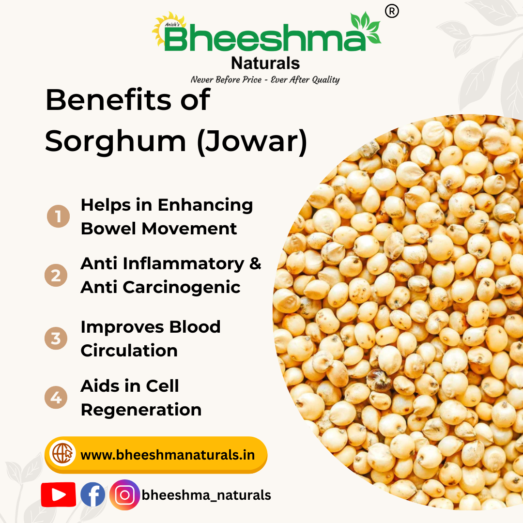 Yellow Sorghum (Yellow Jowar)