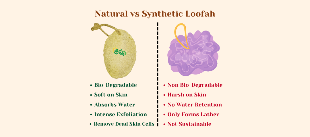 Sponge Gourd Loofah - Natural Bath Scrubber