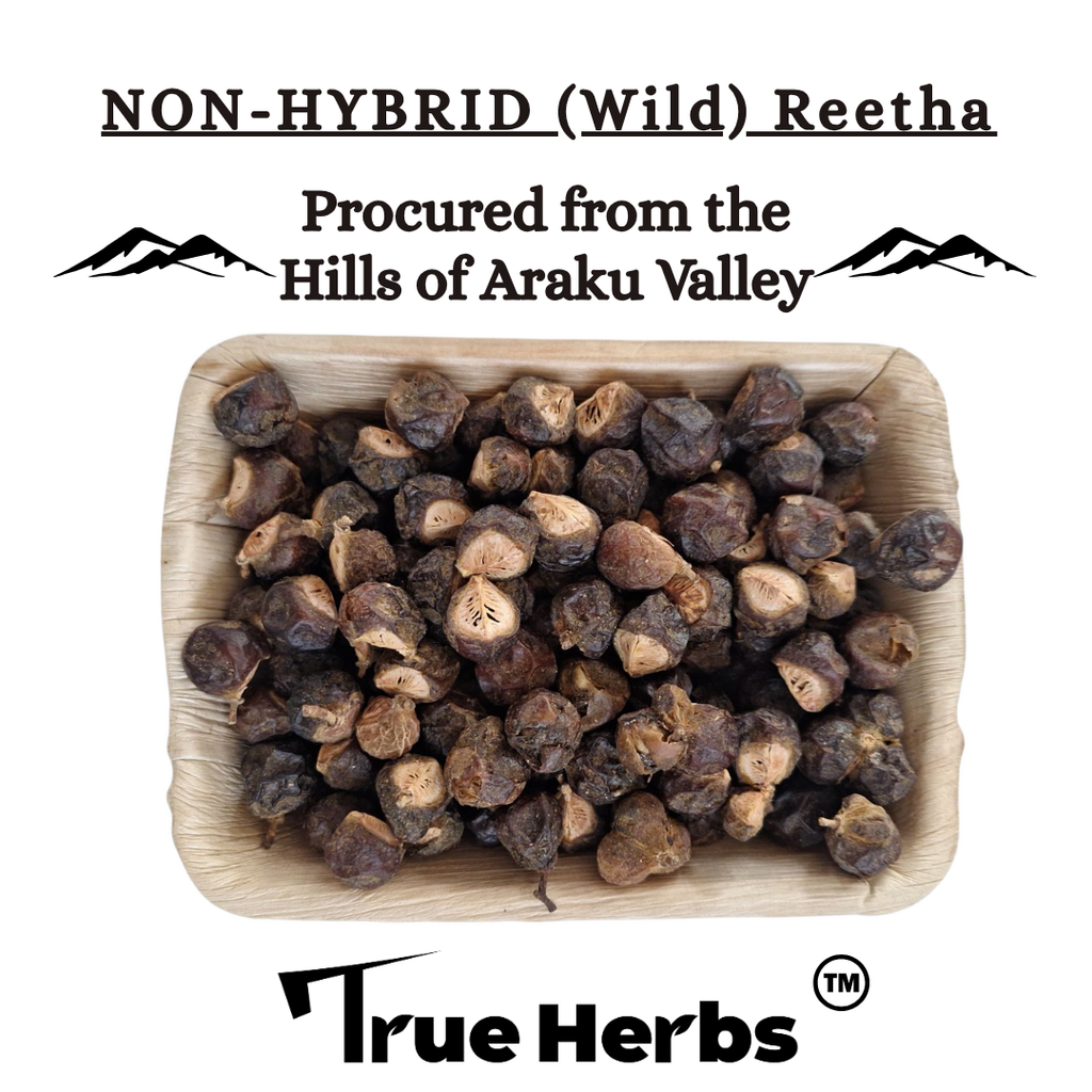 Rectangular tray of wild reetha soap nuts, dark brown and light tan pieces