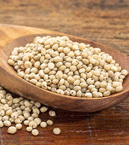White Sorghum (Jowar)