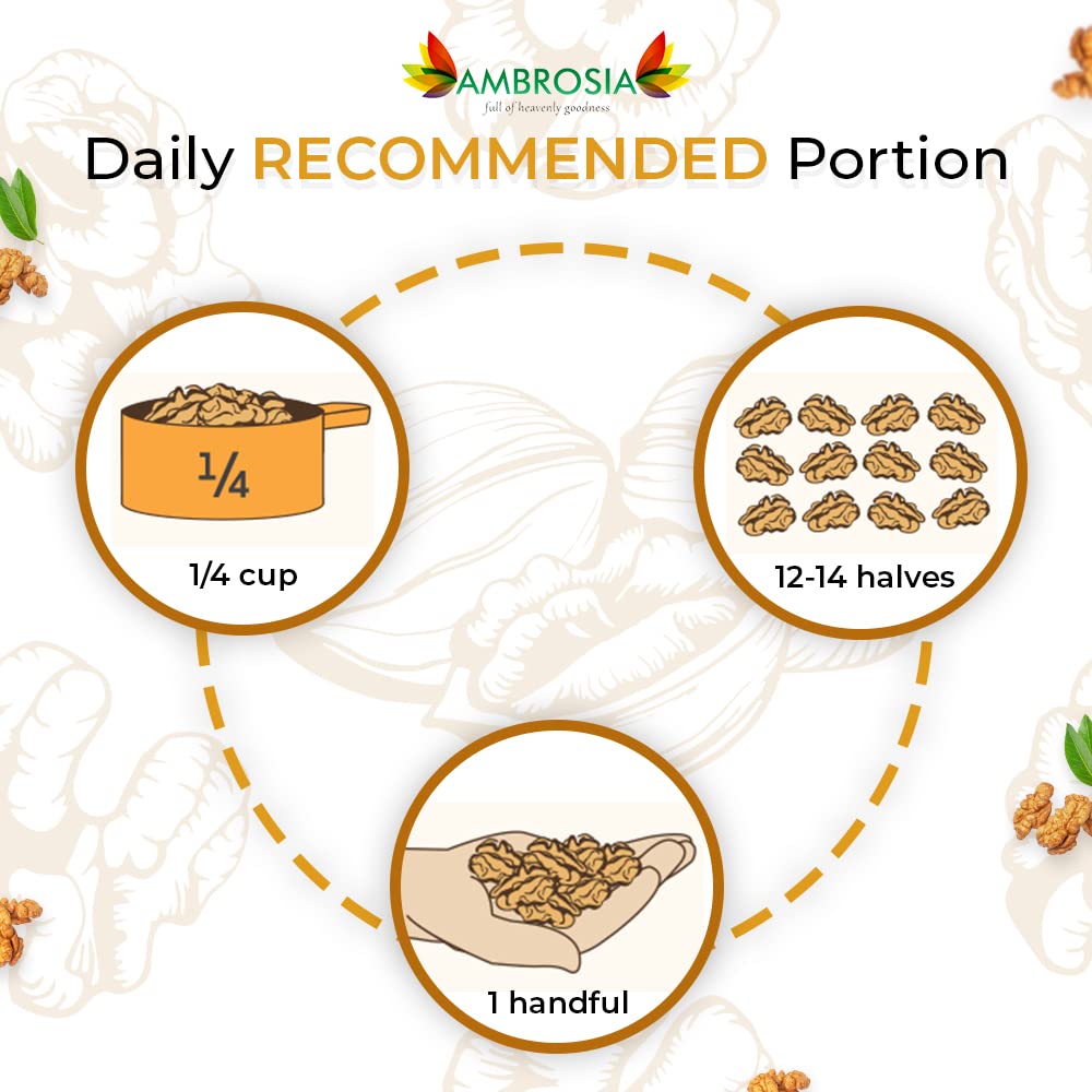 Walnut kernels daily recommended portion diagram: 1/4 cup and 1 handful