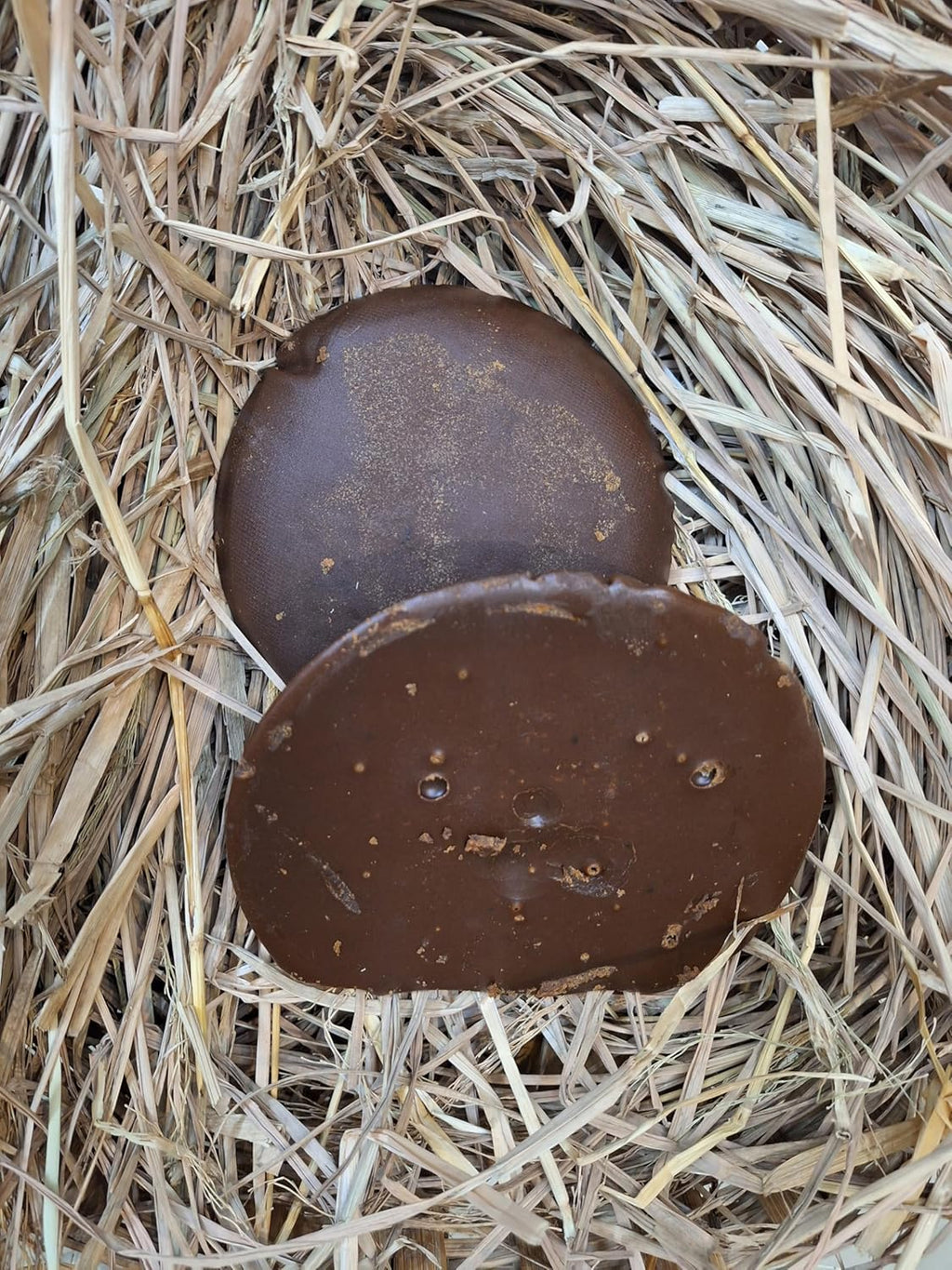 Dark brown palm jaggery rounds in straw bedding, close-up
