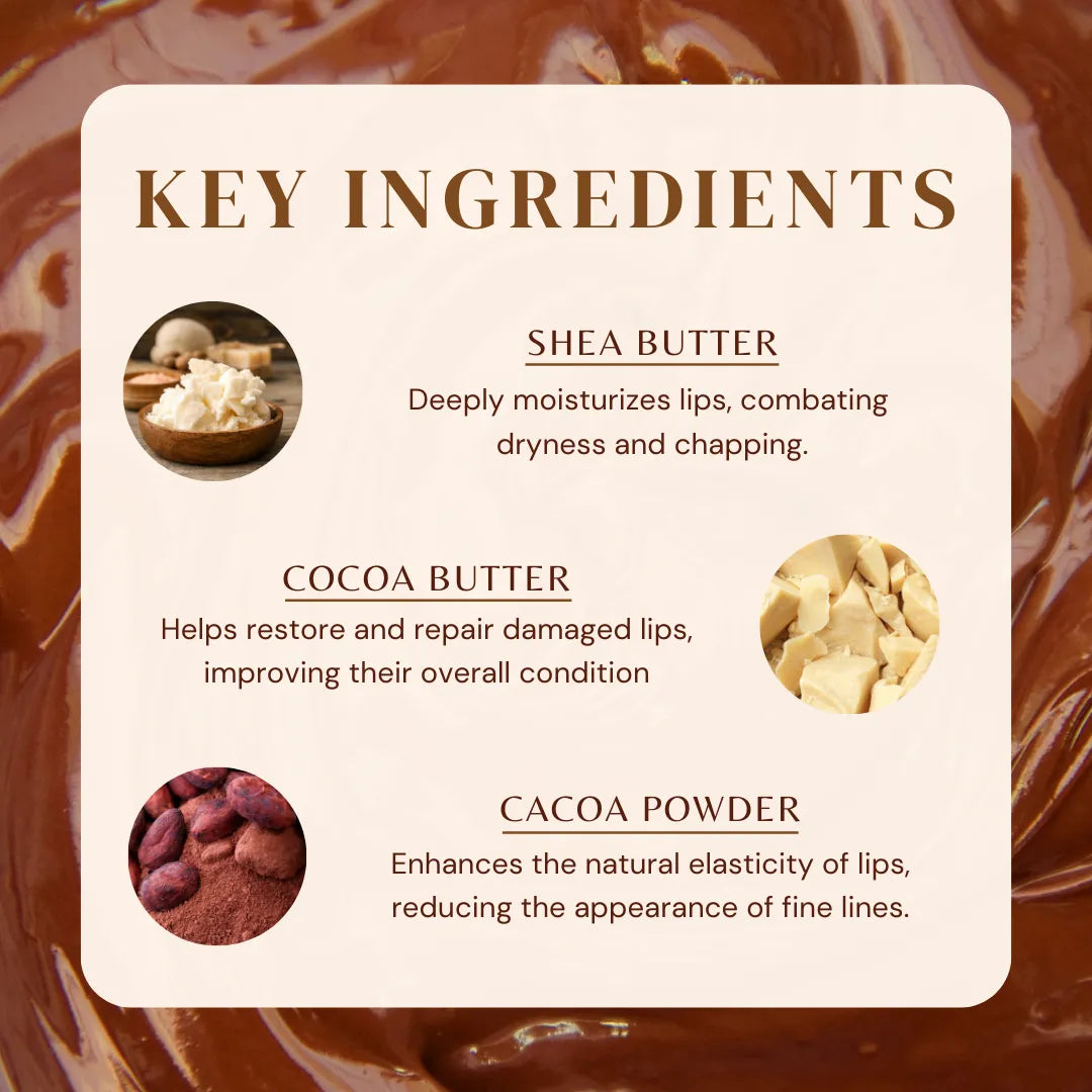 Chocolate lip balm key ingredients card featuring shea butter, cocoa butter, and cocoa powder