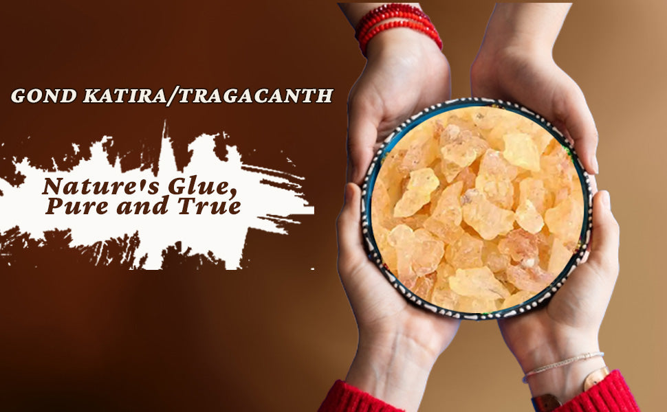 Bowl of translucent amber tragacanth gum resin pieces held in hands