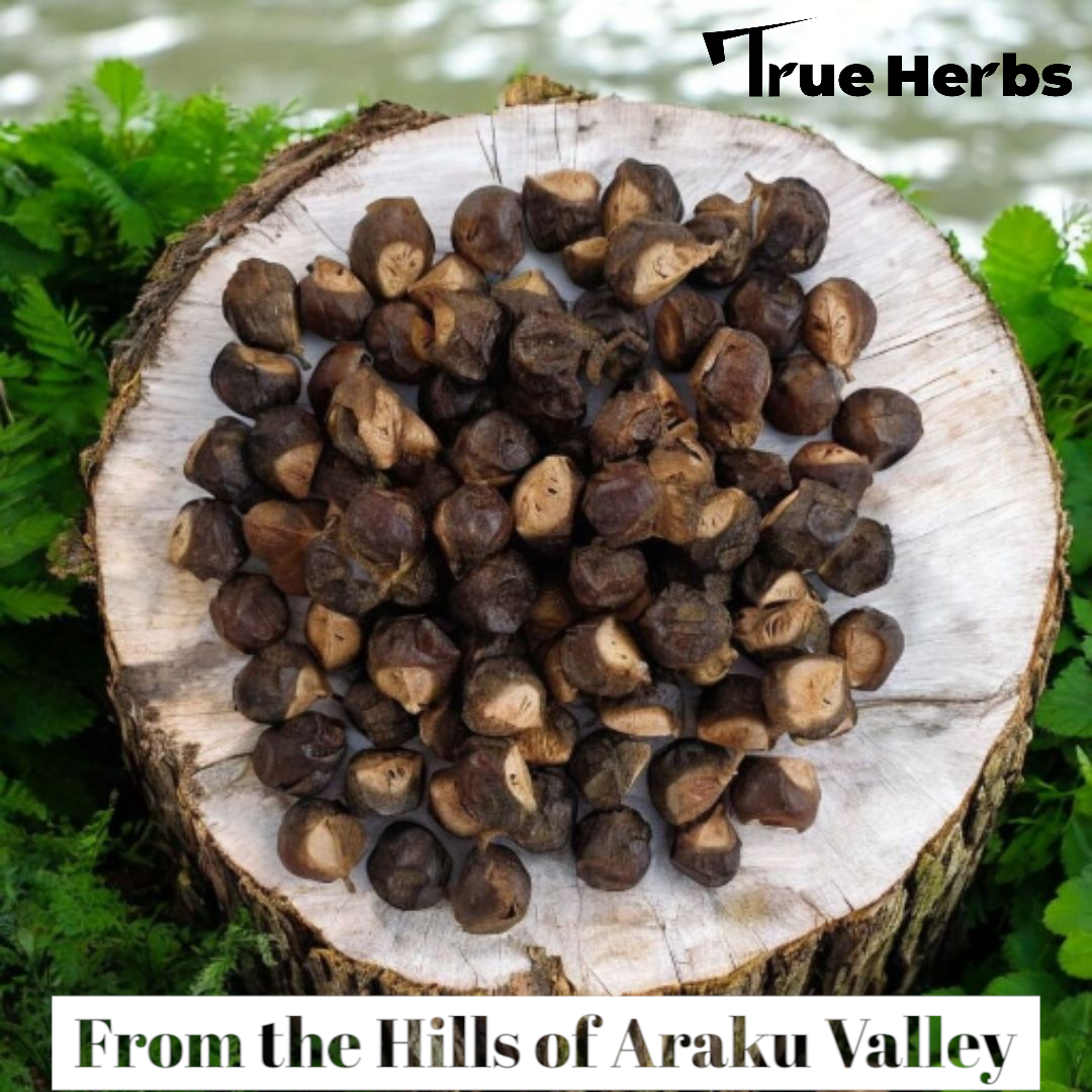 Pile of reetha soap nuts on a wooden log slice, dark brown and tan kernels