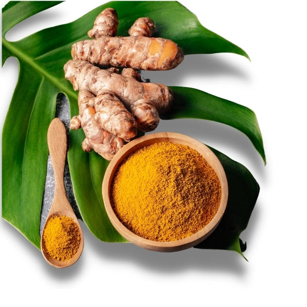 Turmeric powder in wooden bowl with fresh turmeric roots and green leaves