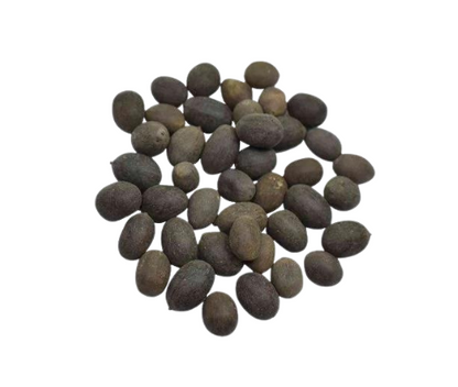 Lotus Seeds
