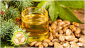 Castor oil in clear glass bottle with yellow oil and castor beans
