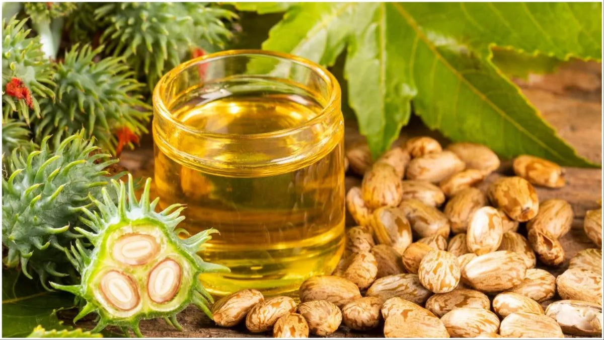 Castor oil in clear glass bottle with yellow oil and castor beans