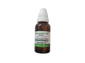 Rosemary Essential Oil 10 ML