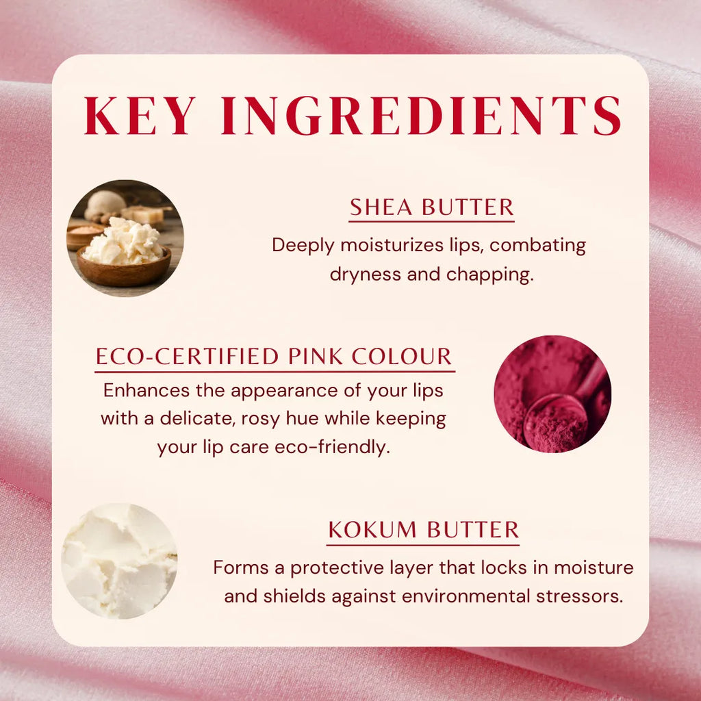 Pink lip balm key ingredients panel, shea butter and kokum butter