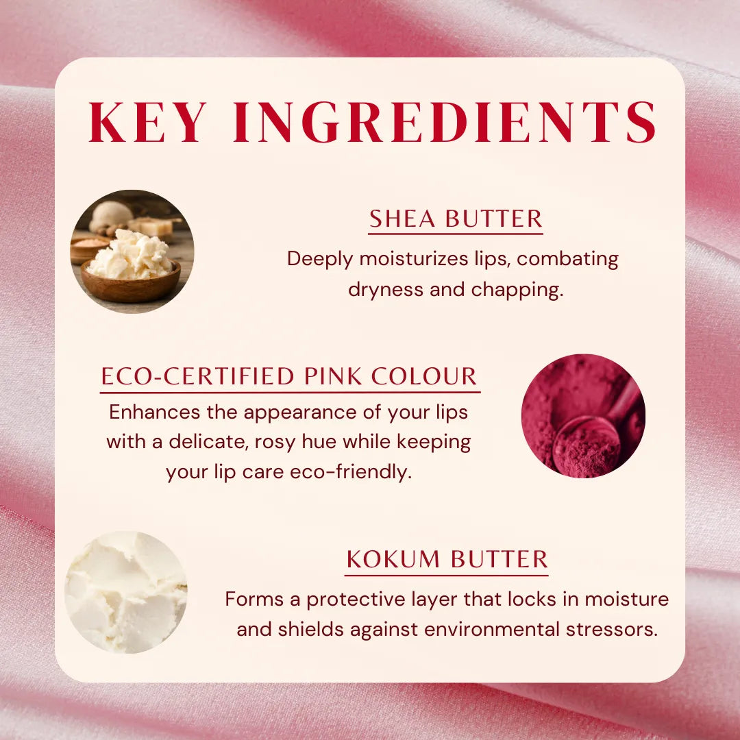 Pink lip balm key ingredients panel, shea butter and kokum butter