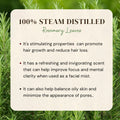 Rosemary hydrosol product box labeled 100% steam distilled rosemary leaves