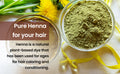 Green henna powder in a glass bowl for hair coloring and conditioning