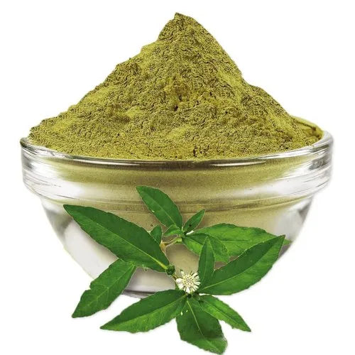Bhringraj powder in glass bowl with fresh green leaves