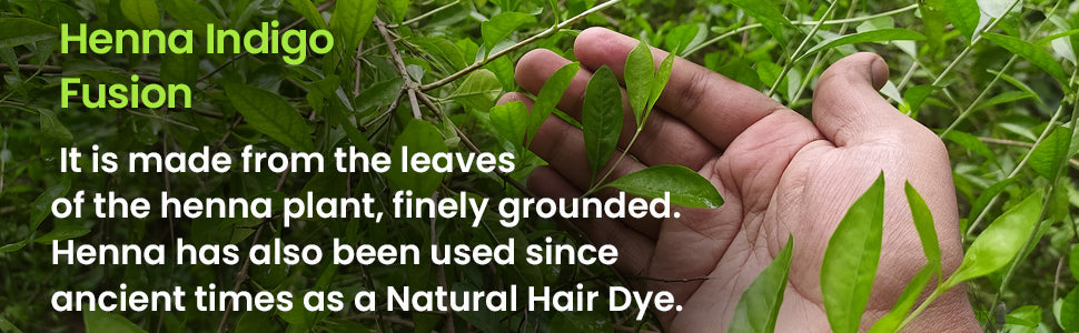 Hand holding green henna and indigo leaves for natural hair dye fusion