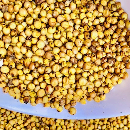 Yellow Sorghum (Yellow Jowar)