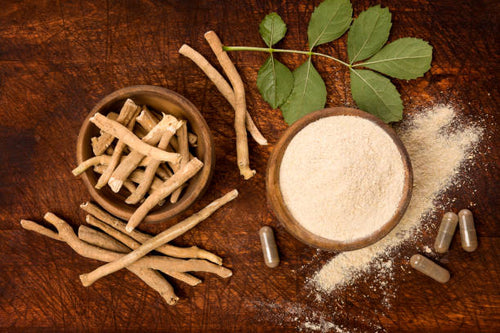 Ashwagandha powder in round bowl with small capsules and root pieces