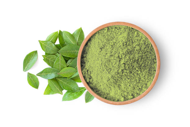 Green henna powder in wooden bowl with fresh leaves